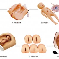 高級腹部觸診、分娩機(jī)轉(zhuǎn)綜合模型