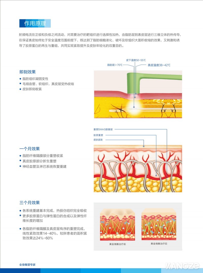 半島黃金微雕彩頁(yè)4